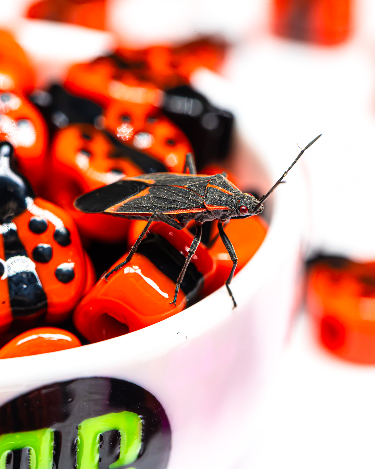 Mini Ladybug Beads